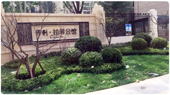 &#20048;&#40060;